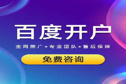 案例研究：SEM开户助力电商快速崛起